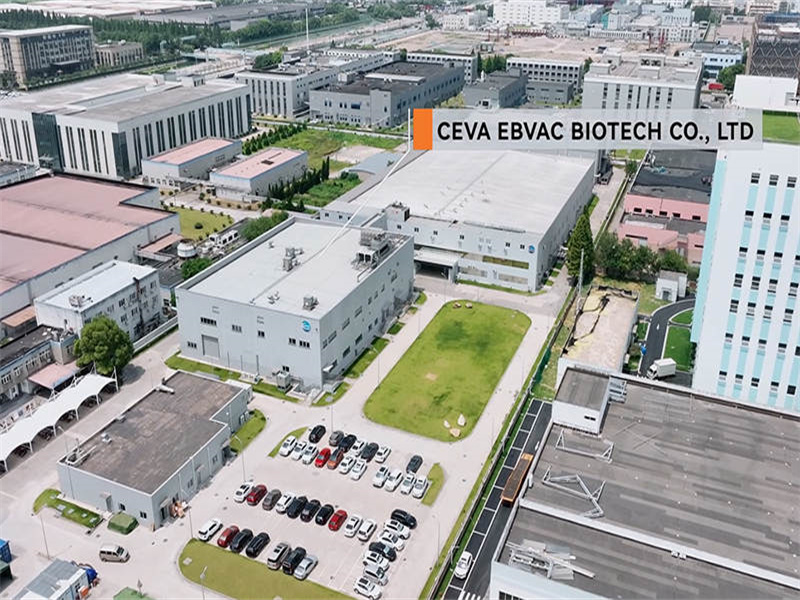 Projekt: shin Ebvac biotech co., inc