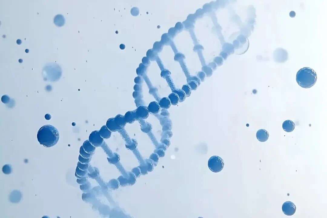 Die führende medizinische universität Von shandong arbeitet sich dafür ein labor für qualitativ hochwertige zellen aus